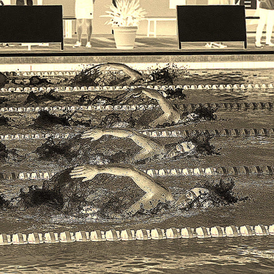 Ripples on Water: Turkey's Para-Swimming Bet and the Untold Story Behind Defne Kurt's 5 Gold Medals Ripples on Water: Turkey's Para-Swimming Bet and the Untold Story Behind Defne Kurt's 5 Gold Medals