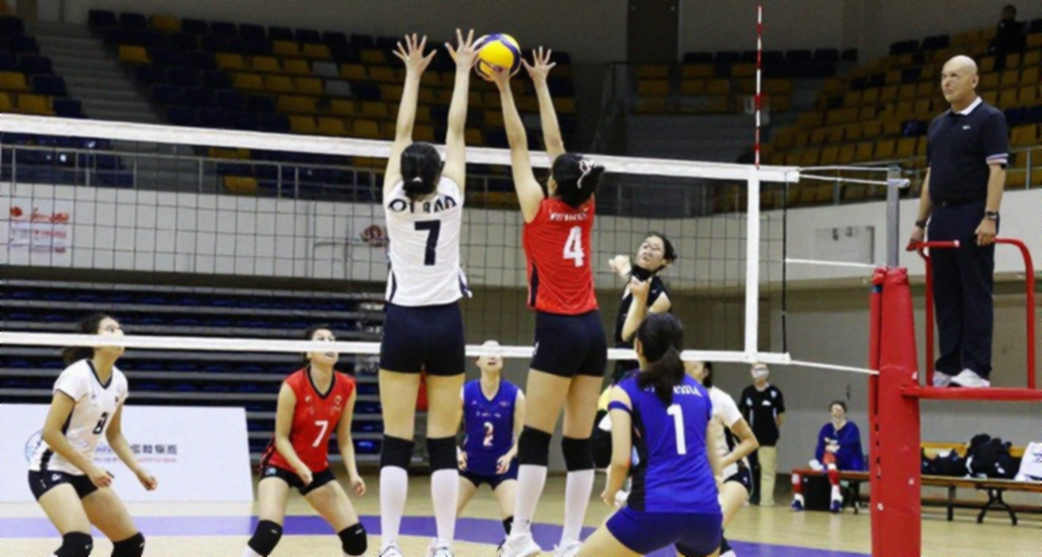 Brazil reign supreme in South American and earn women's volleyball Olympic spot Brazil reign supreme in South American and earn women's volleyball Olympic spot